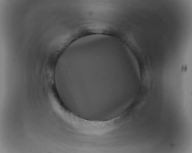 X0000111230031200907161327