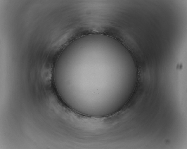 X0000111230032200907161327