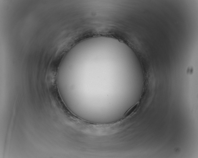 X0000111230033200907161327