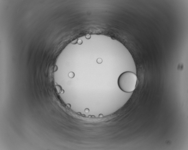 X0000111230034200907161327