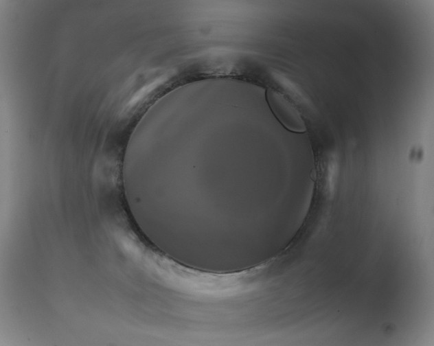 X0000111230035200907161327