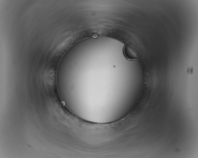 X0000111230036200907161327
