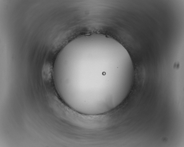 X0000111230038200907161327