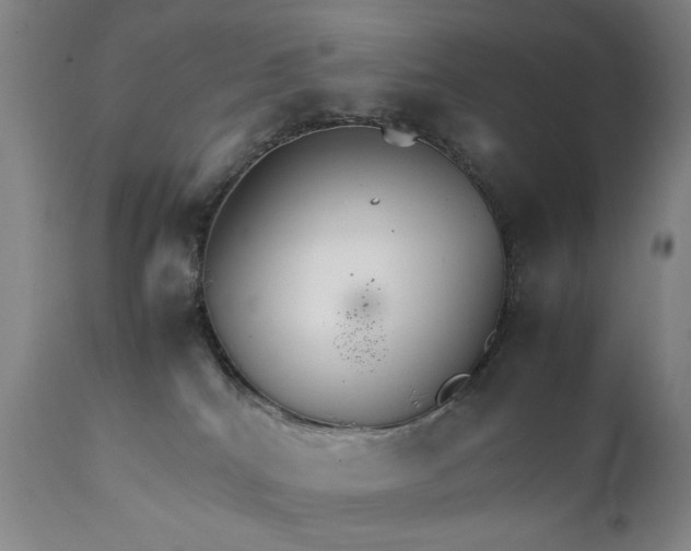 X0000111230040200907161327