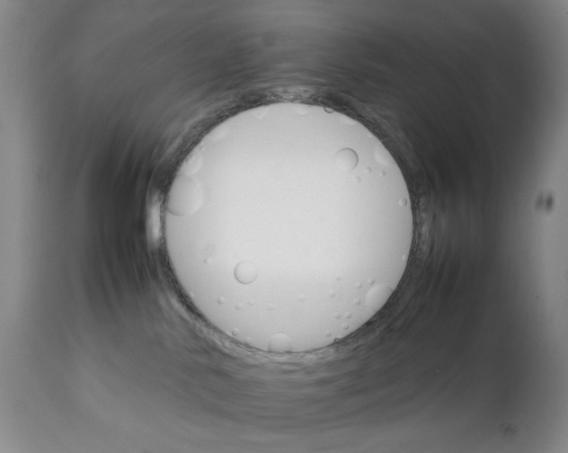 X0000111230042200907161327