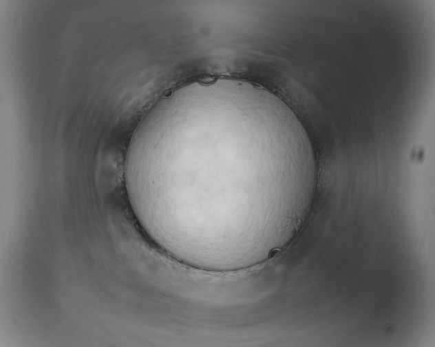 X0000111230043200907161327