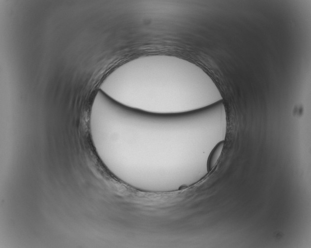 X0000111230045200907161327
