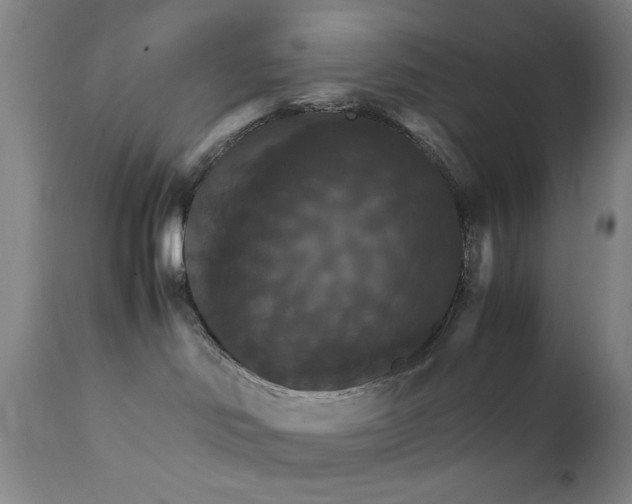X0000111230046200907161327