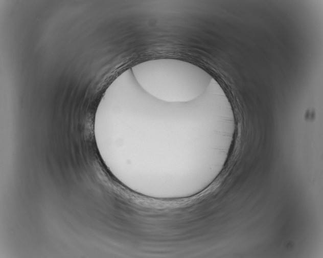 X0000111230048200907161327