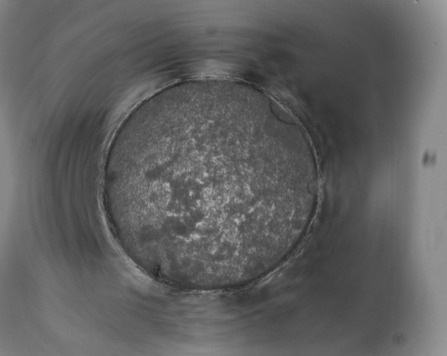 X0000111230049200907161326
