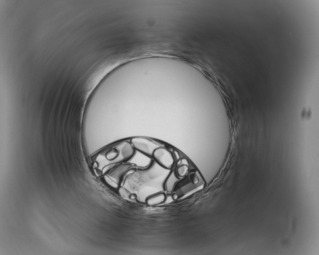 X0000111230052200907161326