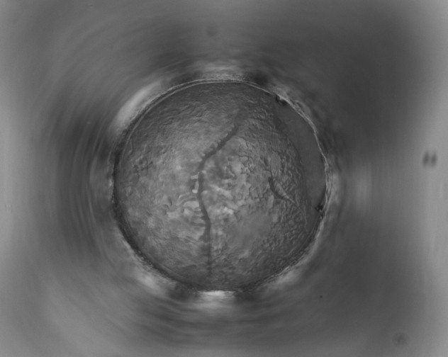 X0000111230053200907161326