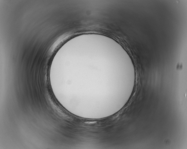 X0000111230054200907161326