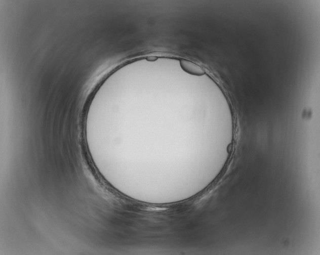 X0000111230055200907161326