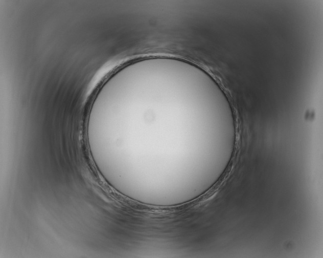 X0000111230056200907161326