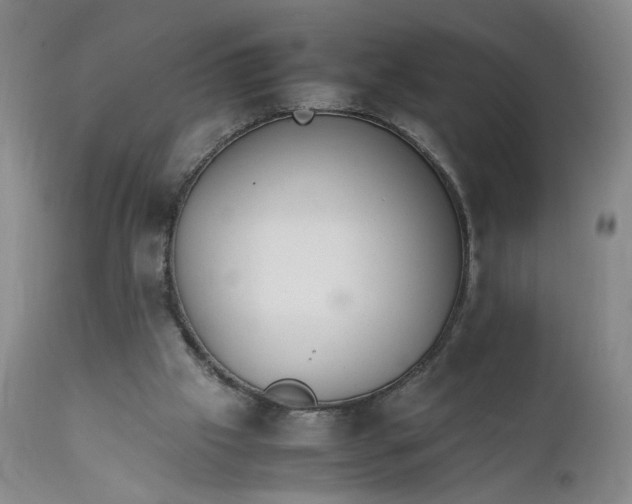 X0000111230057200907161326