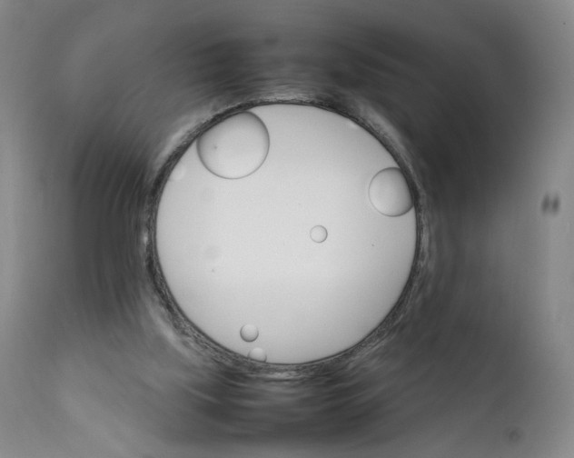 X0000111230059200907161326
