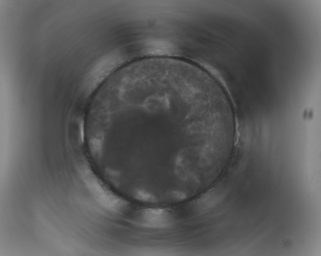 X0000111230061200907161326