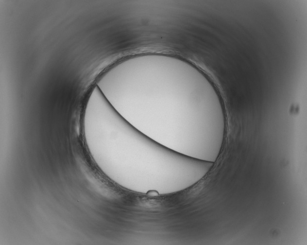 X0000111230062200907161326