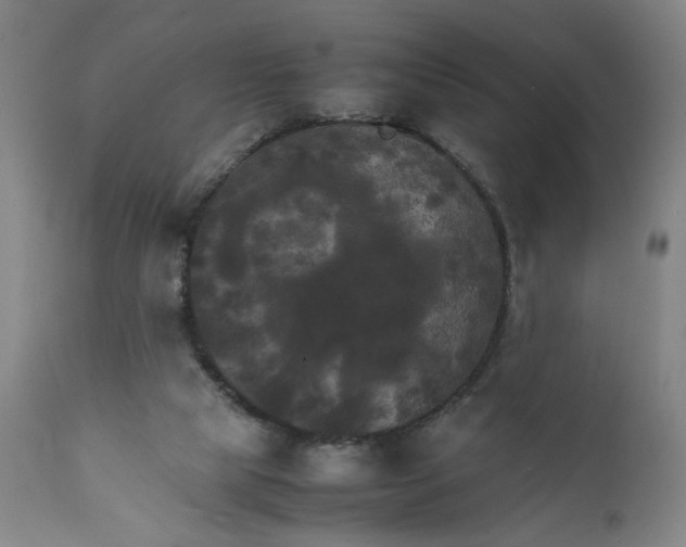 X0000111230065200907161327