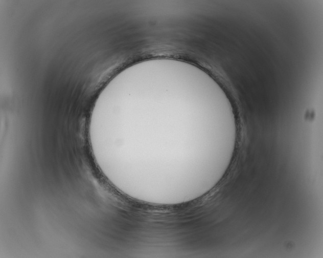 X0000111230066200907161327