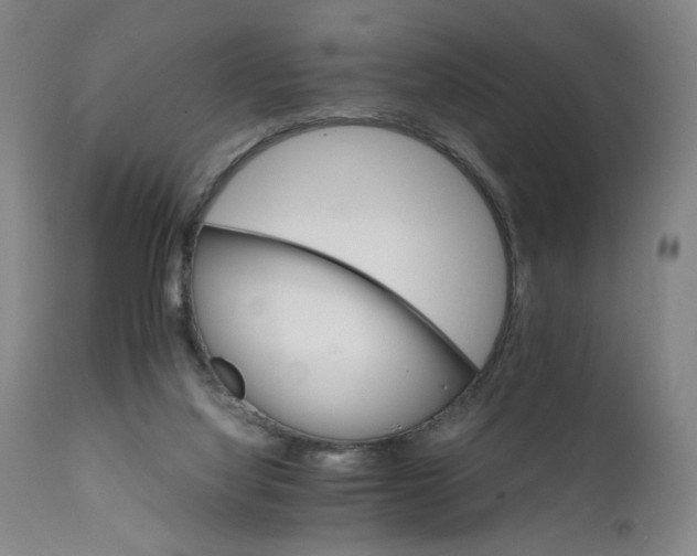 X0000111230068200907161327