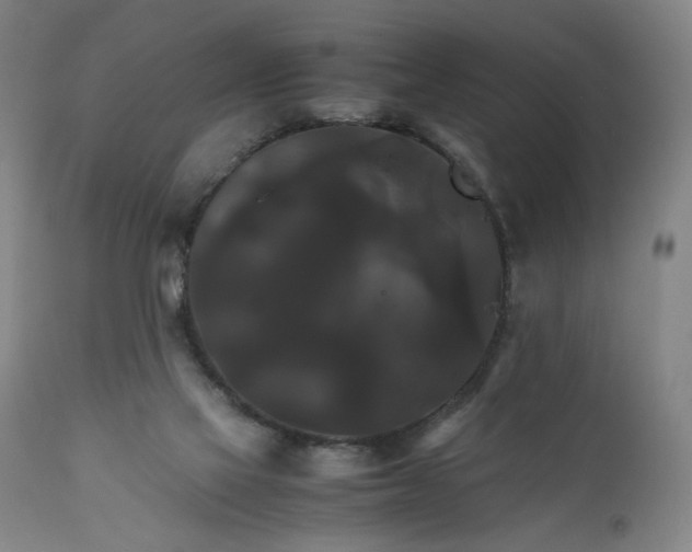 X0000111230069200907161327
