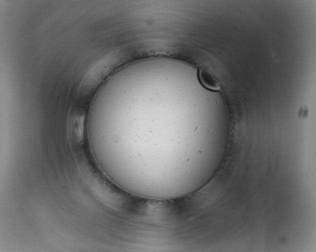 X0000111230070200907161327