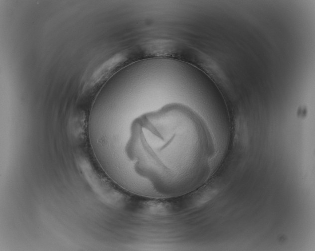 X0000111230073200907161327