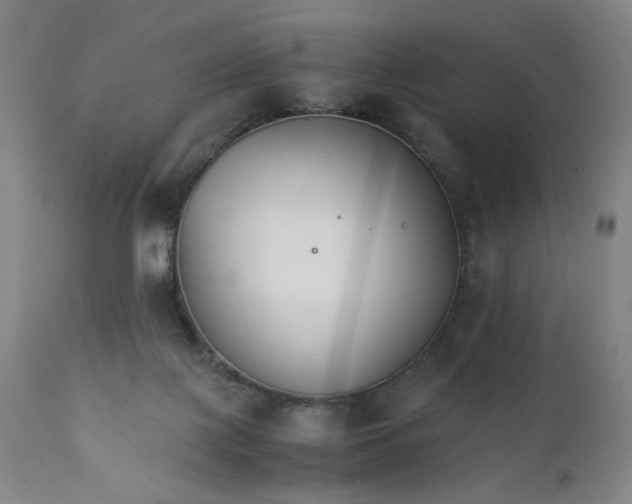 X0000111230075200907161327