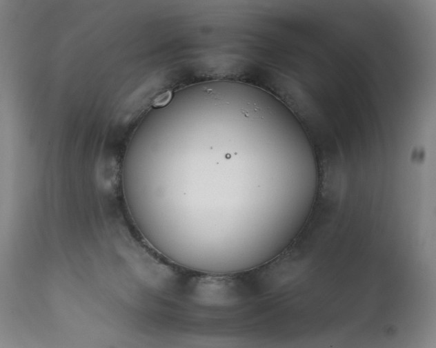 X0000111230077200907161327