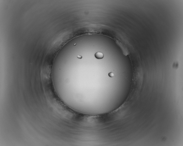 X0000111230078200907161327