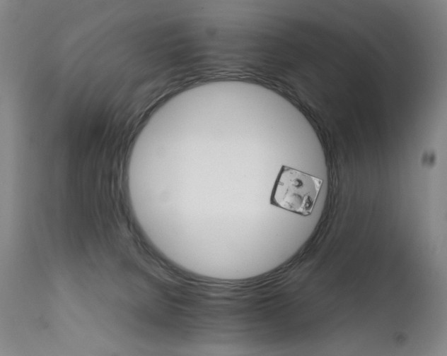 X0000111230080200907161327