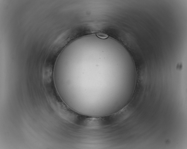 X0000111230082200907161327