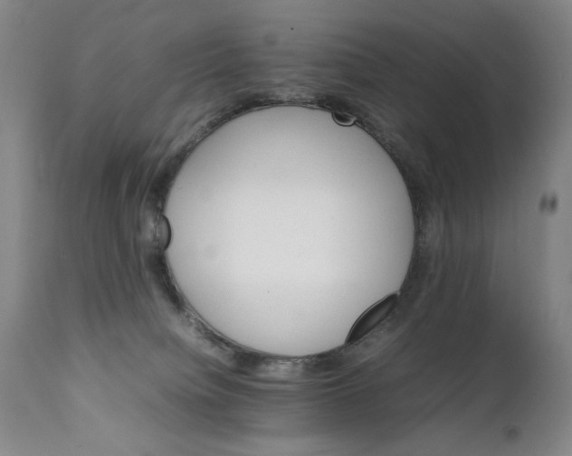 X0000111230084200907161327