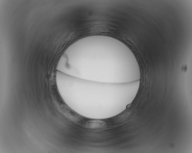 X0000111230087200907161327