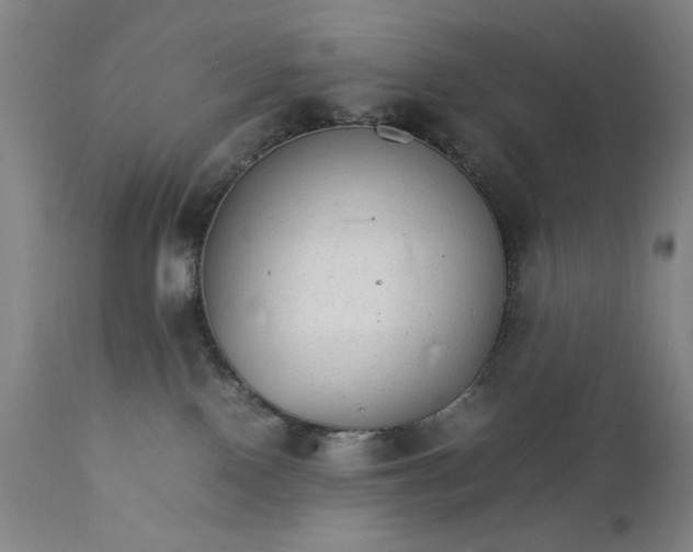 X0000111230090200907161327