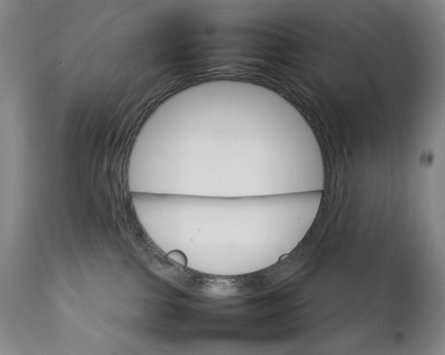 X0000111230091200907161327