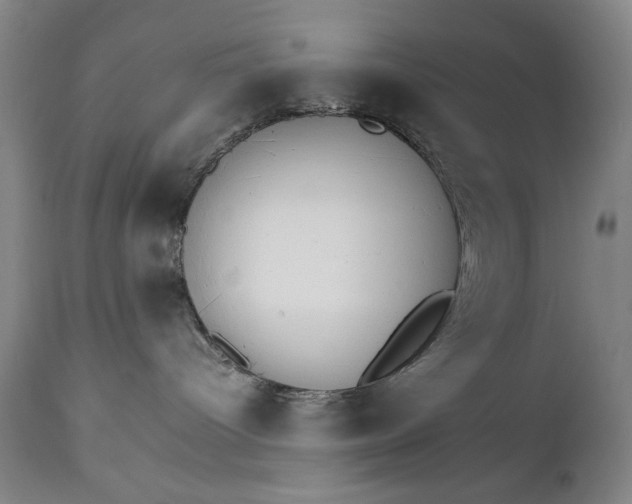 X0000111230096200907161327