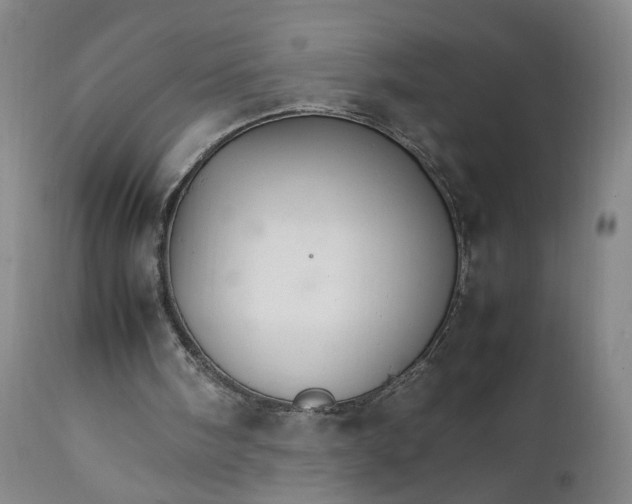 X0000111230098200907161326