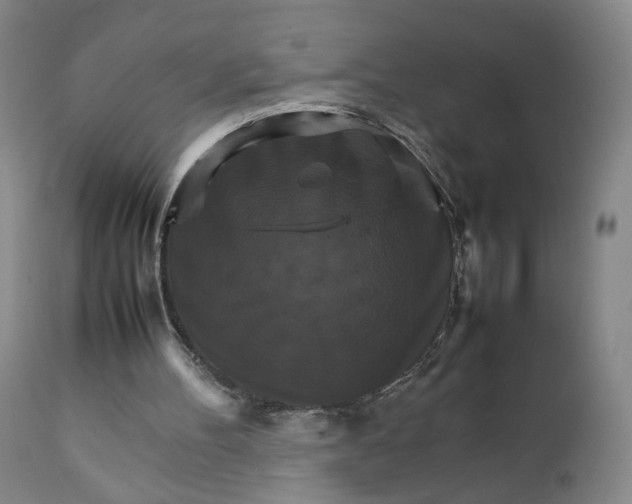 X0000111230100200907161326