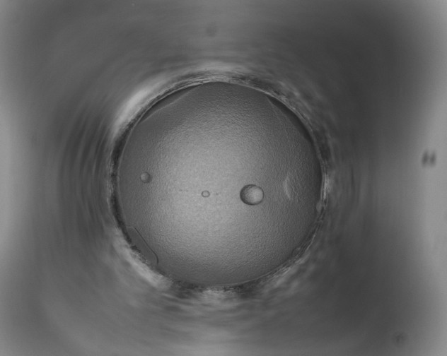 X0000111230101200907161326