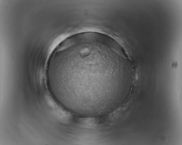 X0000111230104200907161326