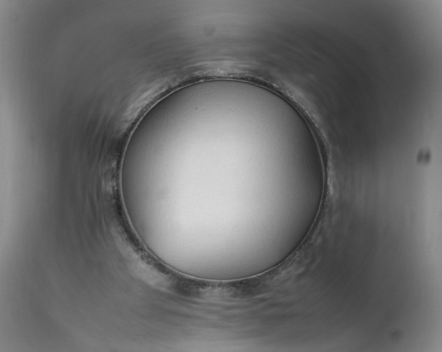 X0000111230105200907161326