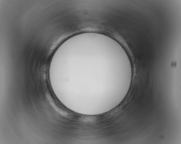 X0000111230106200907161326