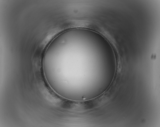 X0000111230107200907161326