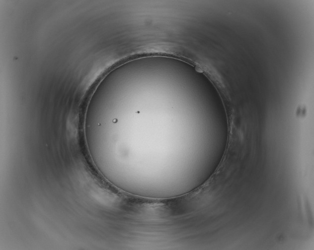 X0000111230108200907161326