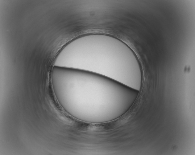 X0000111230109200907161326