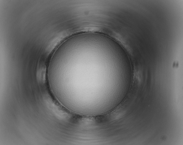 X0000111230110200907161326