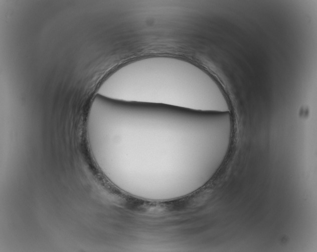 X0000111230113200907161326